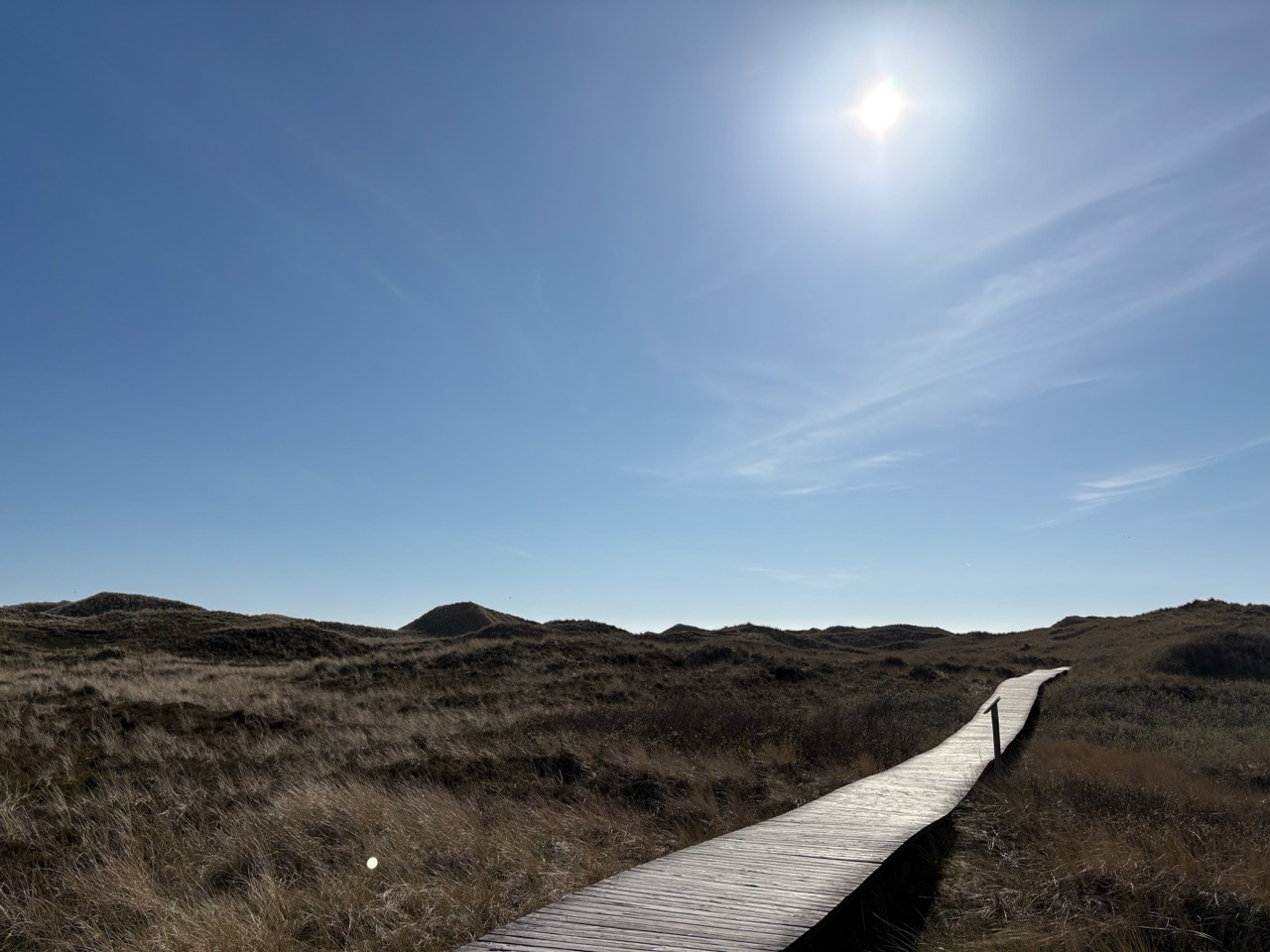 Amrum – Groß
