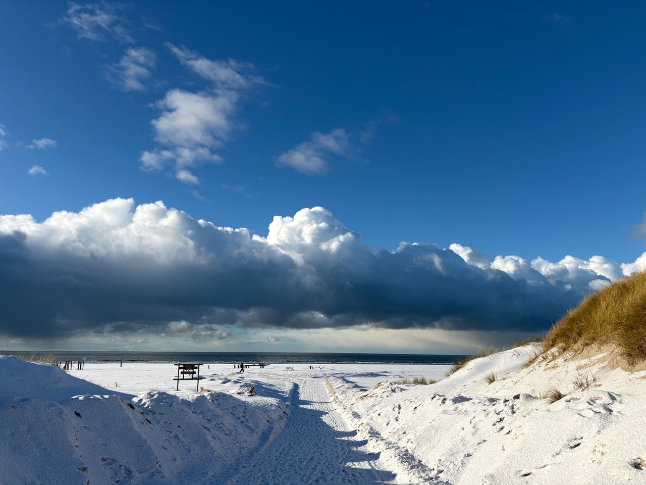 Amrum – Groß